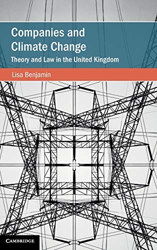 Companies and Climate Change