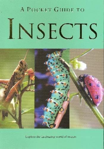 A Pocket Guide to Insects (Pocket Guides)