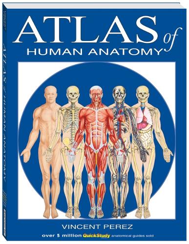 Atlas of the Human Anatomy