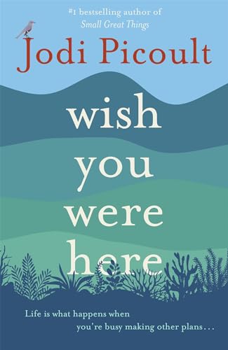 Wish You Were Here: The Sunday Times bestseller readers are raving about