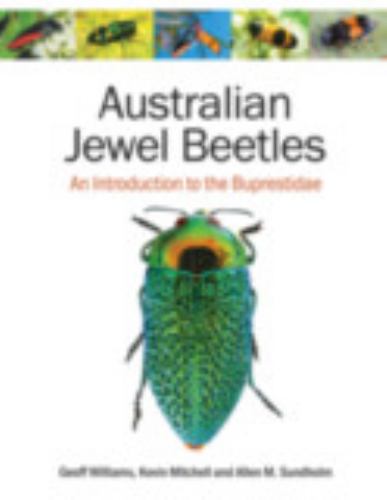 Australian Jewel Beetles