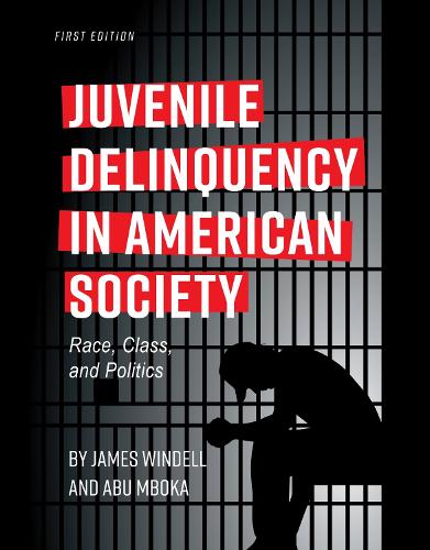 Juvenile Delinquency in American Society