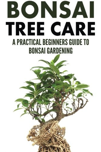 Bonsai Tree Care: A Practical Beginners Guide To Bonsai Gardening