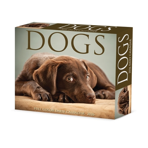 Dogs 2026 Box Calendar
