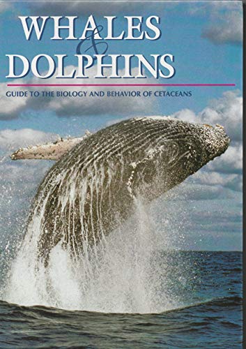 Whales and Dolphins