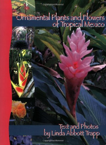 Ornamental Plants and Flowers of Tropical Mexico