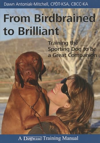 From Birdbrained to Brilliant