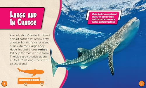 Whale Shark