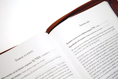 Biblia RVR 1960 letra grande tamaño manual cremallera e índice canela nombres de Dios / Spanish Bible RV60 Handy Size Large Print Brown Names of God Index Zi