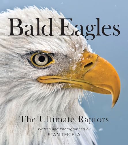 Bald Eagles