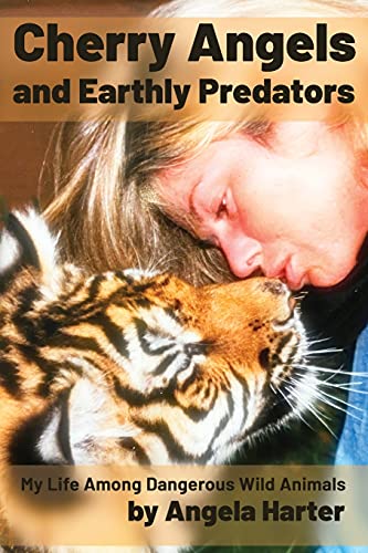 Cherry Angels and Earthly Predators
