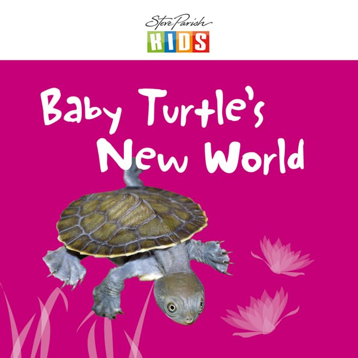 Baby Turtle's New World