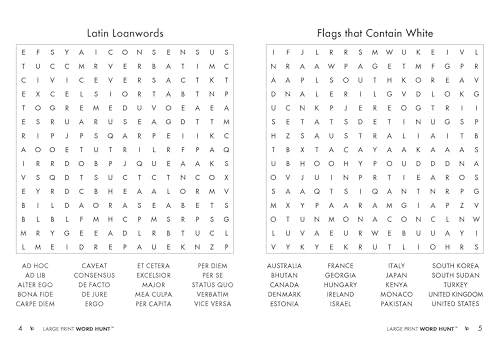 PAPP Large Print Word Search Books for Adults: 80 Challenging Puzzles, Brain Games, Perfect Gifts for Seniors, 96 Pages with Answers, Theme Country Lake (Large Print Word Search Newspaper)