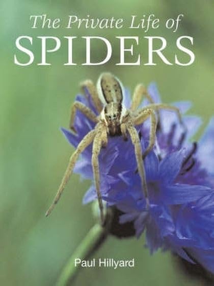 Private Life of Spiders