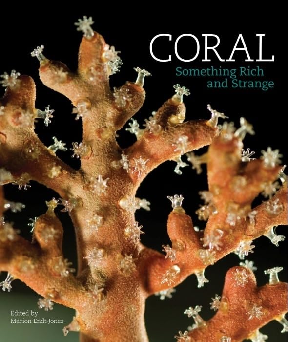 Coral