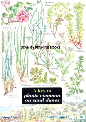 Key to Plants Common on Sand Dunes
