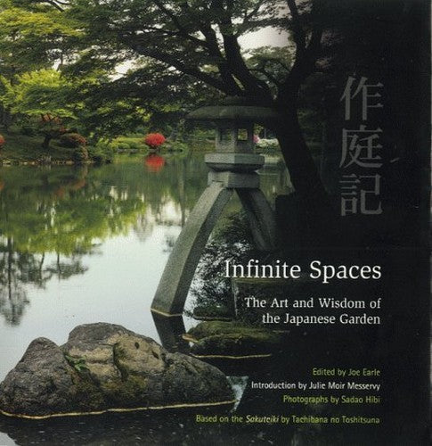 Infinite Spaces
