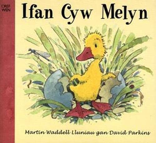 Ifan Cyw Melyn