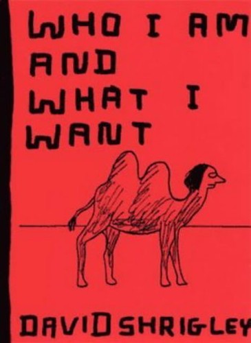 Who I am and What I Want