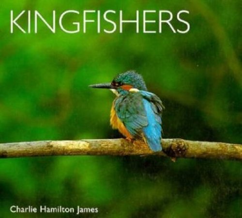 Kingfishers