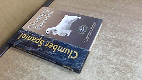 Clumber Spaniel