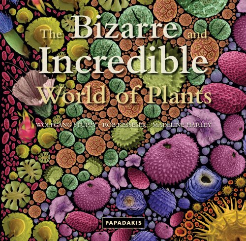 The Bizarre and Incredible World of Plants