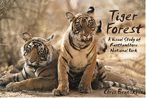 Tiger Forest