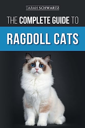 The Complete Guide to Ragdoll Cats