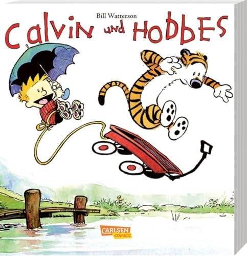 Calvin Hobbes