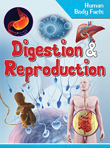 Human Body Facts: Digestion & Reproduction