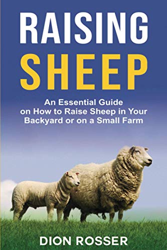 Raising Sheep