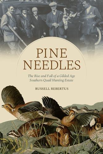 Pine Needles
