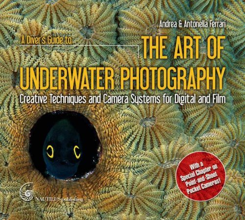 A Diver's Guide to the Art of Underwater Photography