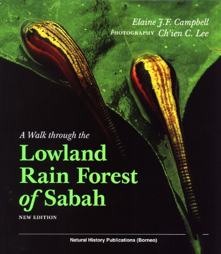 A Walk Through the Lowland Rain Forest of Sabah