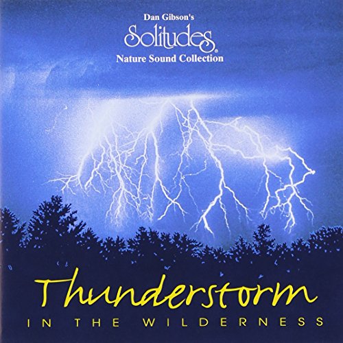 Thunderstorm in the Wilderness