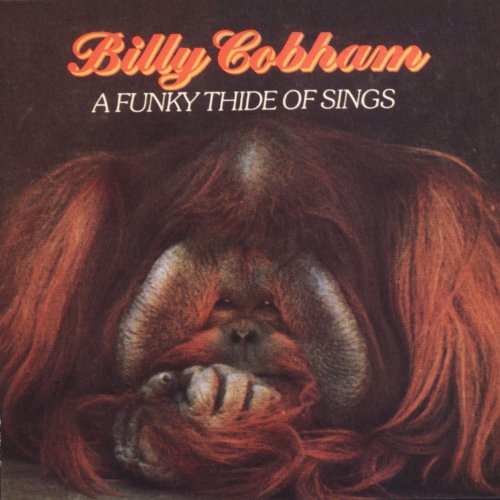 A Funky Thide Of Sings