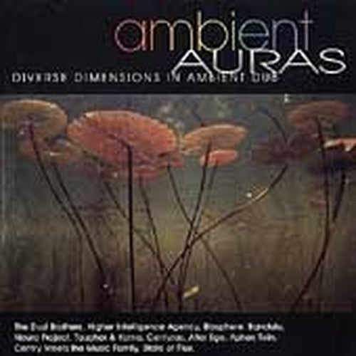 Ambient Auras: Diverse Dimensions In Ambient Dub