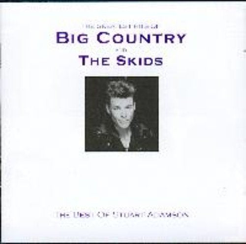 The Greatest Hits Of Big Country And The Skids: THE BEST OF STUART ADAMSON