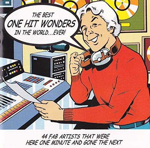 The Best One Hit Wonders In The World... Ever!