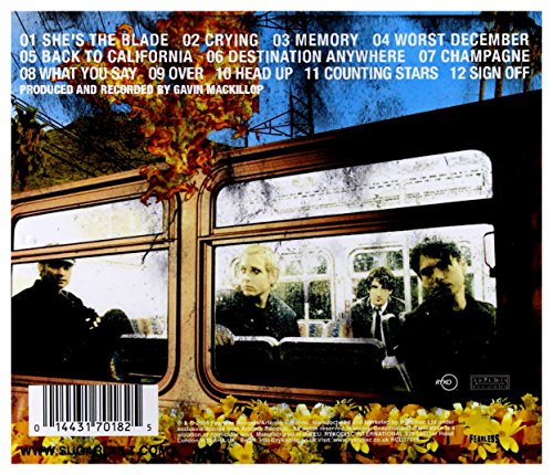 Palm Trees And Power Lines