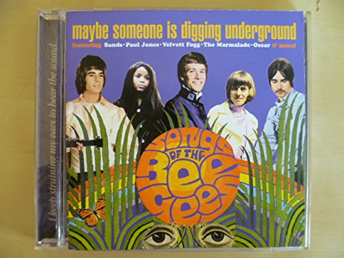 Maybe Someone Is Digging Underground: Songs of the Bee Gees