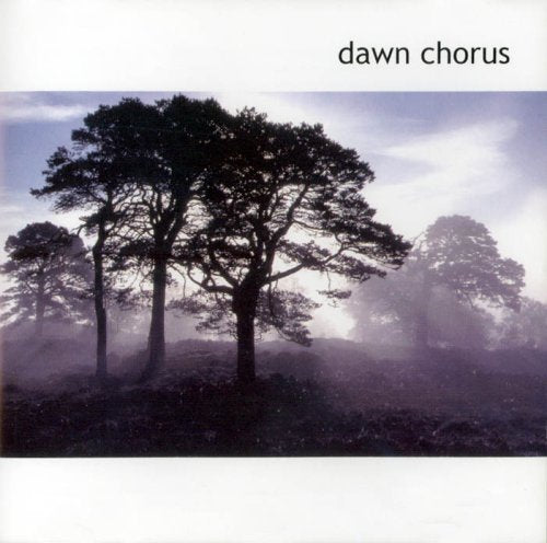 Birdsong - Dawn Chorus