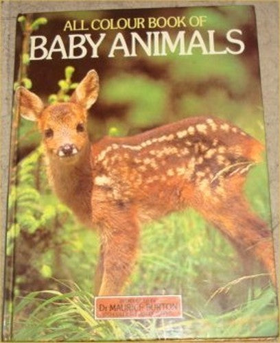 All Colour World of Baby Animals