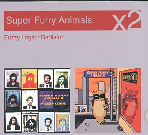 Fuzzy Logic / Radiator
