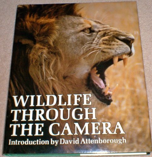 Wild Life Through the Camera