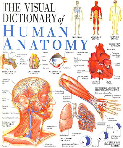 The Visual Dictionary of Human Anatomy