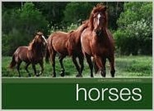 Horses A Photographic Celebration