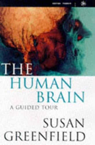 The Human Brain
