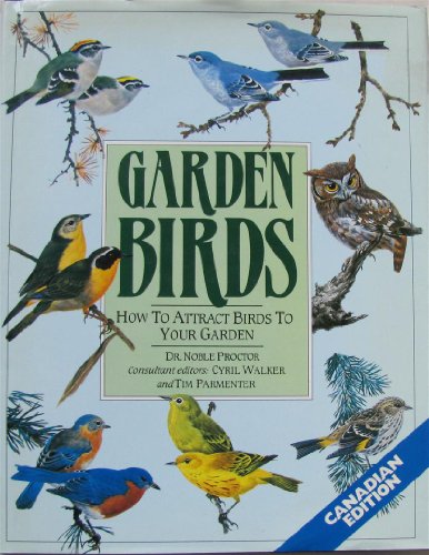 Garden Birds: How to Attract Birds to Your Garden
