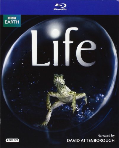 Life Uk